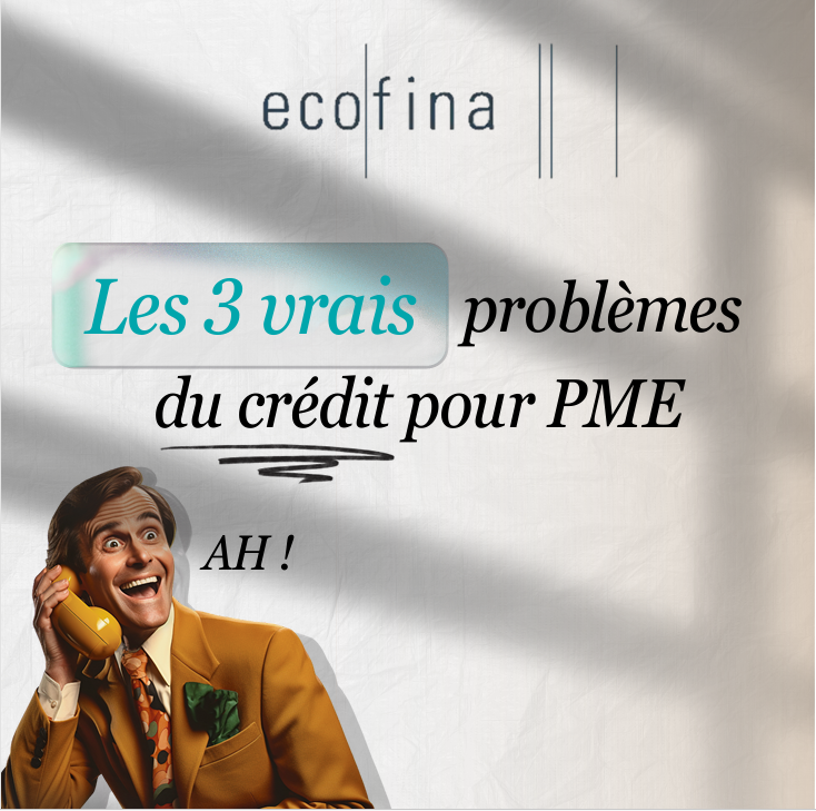 Publication LinkedIn Ecofina — les 3 vrais problèmes du crédit pour PME
